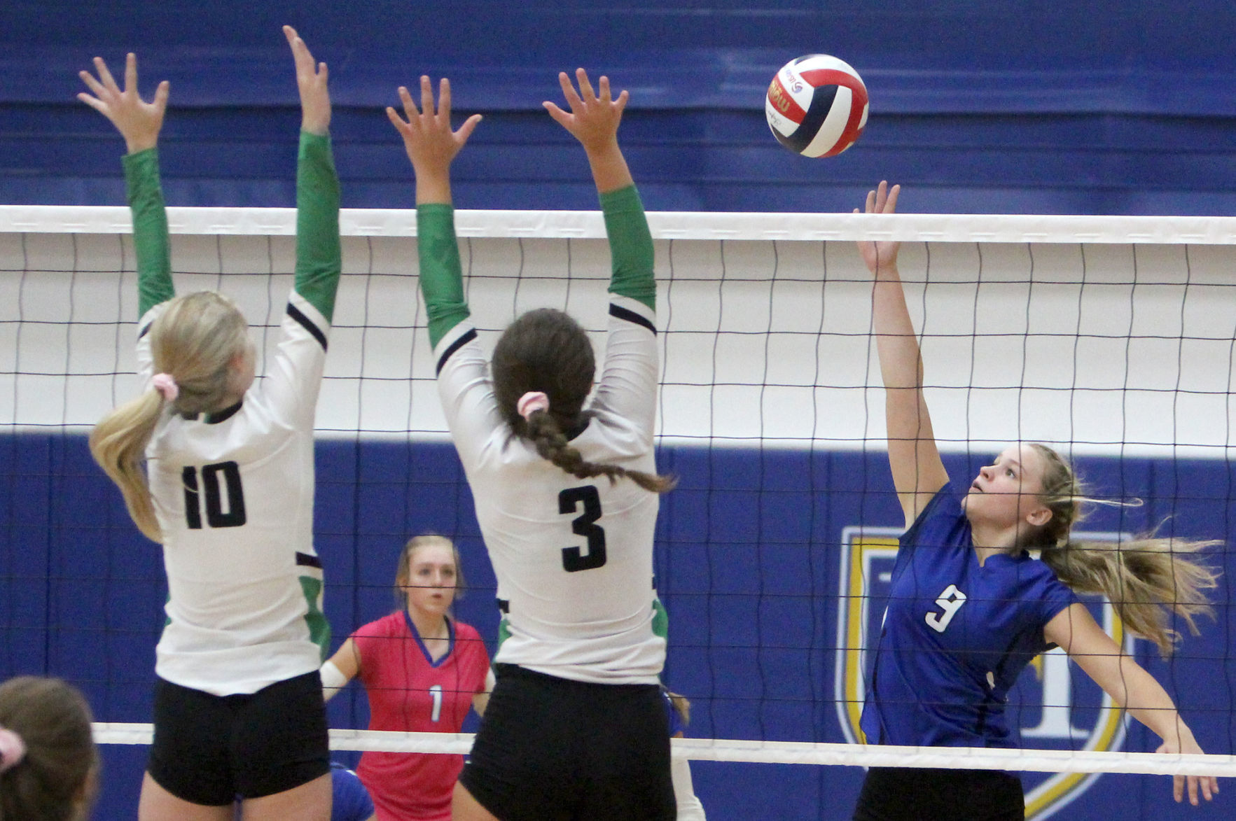 Eau Claire Regis at McDonell volleyball 9-12-19